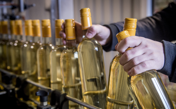 Az Európai Bizottság jóváhagyta a Soltvadkerti borok oltalom alatt álló eredetmegjelölését