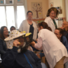 Mézédes reggel a Fogyatékkal Élők Nappali Intézményében