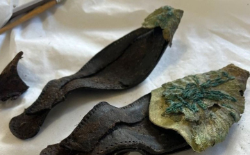 A 17. századból származó női papucsot találtak a veszprémi várnegyed feltárása során
