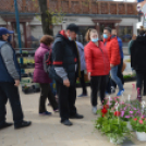 Tavaszi Virágvásárt rendeztek Kiskunfélegyházán