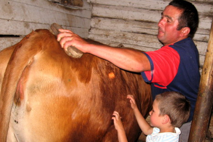 Öregednek a gazdák, bizonytalan az utánpótlás