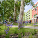 Hivatalosan is átadták a Kossuth utca felújított szakaszát