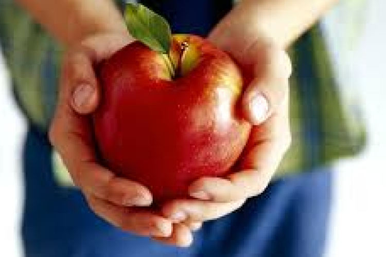 Egészségesebb táplálkozásra nevel az új közétkeztetési rendszer