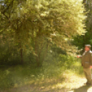 Erdőséta a madarak és fák napján