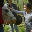 Tömegeket vonzott a majális