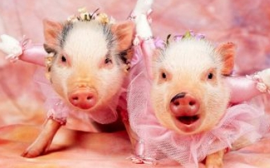 Újév a nagyvilágban