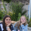 A közönség kedvence volt a szabadtéri mozi Kiskunfélegyházán\