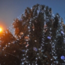 Felgyulladtak a fények a város karácsonyfáján