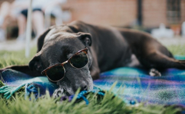 Jön a 30 fokos meleg