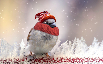 Hétvégén kissé lehűl az idő