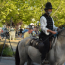 Felvonulással vette kezdetét a belvárosi lovas ünnep