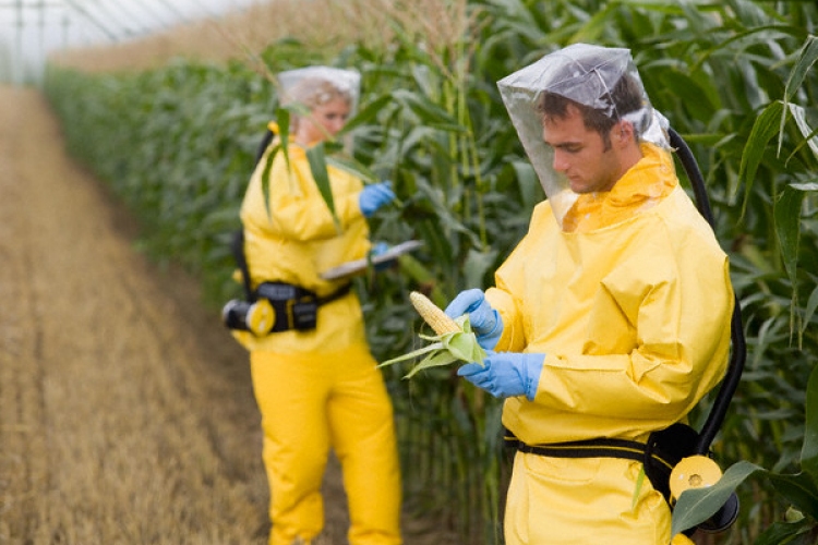 Legyen az unió GMO-mentes övezet!