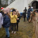 A karácsony valódi értékére hívták fel a figyelmet