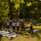 A Jóga Világnapját ünnepelték Kiskunfélegyházán