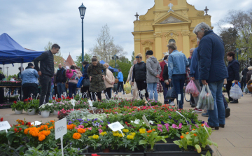 A szombati Tavaszi Virágünnepen elmarad minden zenés, táncos program
