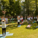 A Jóga Világnapját ünnepelték Kiskunfélegyházán