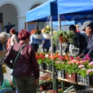 Tavaszi Virágvásár a városközpontban