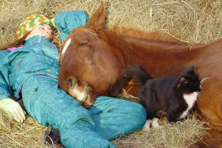 Egészséges az ebéd utáni sziesztázás?
