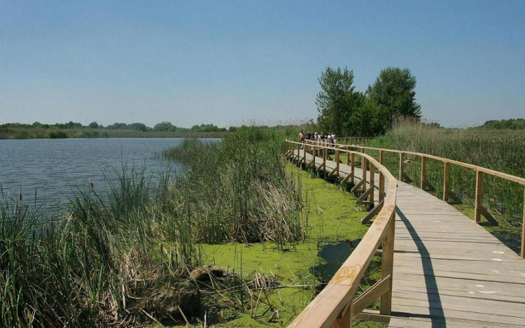 Kincsesládákat rejtettek el a Tisza-tó körül
