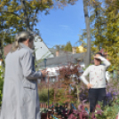 Színes virág kavalkád az őszi virágünnepen