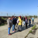 Szakmai napokat tartott a Kiskunhalasi SZC Kiskunfélegyházi Közgazdasági Technikum logisztika – turisztika munkaközössége