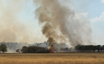 Rendkívüli tájékoztatás: Újabb erdőtűz riasztotta a tűzoltókat