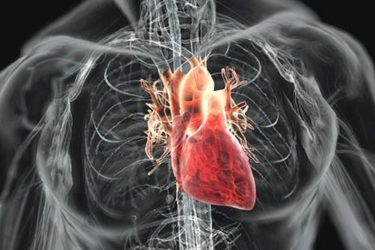 Mikor kell a nyugalmi és mikor a terheléses? 