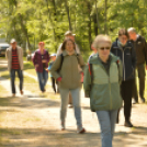 Erdőséta a madarak és fák napján