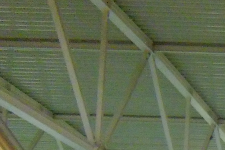 Országos úszó sikereket értek el a Félegyháziak