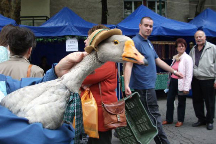 A XVIII. Kiskunfélegyházi Libafesztivál részletes programja