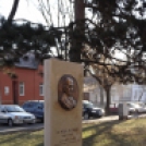 Petőfi Sándorra emlékezett a város