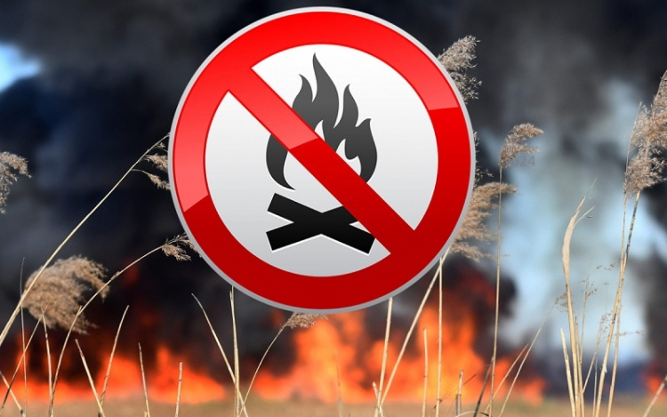 Országos tűzgyújtási tilalmat hirdetett a Nébih