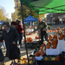 Színes virág kavalkád az őszi virágünnepen