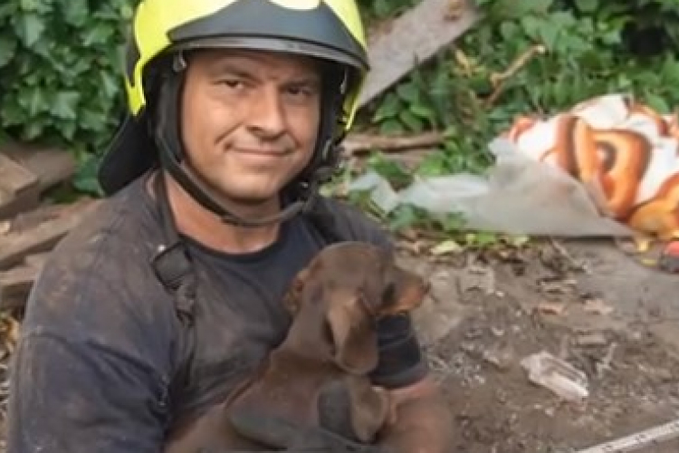 Kiskutyát mentettek ki egy mély kútból a tűzoltók - Videóval