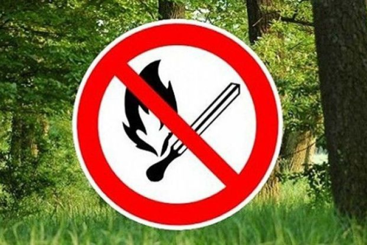 A korai nyár miatt megnőtt az erdőtűz kockázat