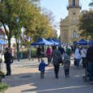 Színes virág kavalkád az őszi virágünnepen