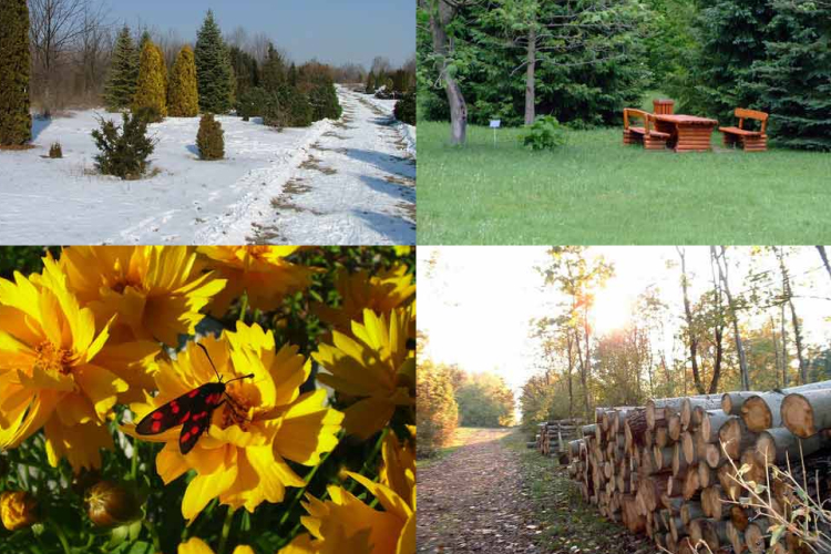 Az évszakok befolyásolják a vérnyomást