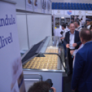 Ünnepélyes keretek között nyílt meg a Kiskun Expo