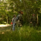 Erdőséta a madarak és fák napján