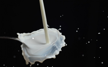 A tej és a tejtermékek fogyasztását ösztönző kampány indult