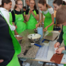 Szakmakóstoló tábor a Mezgében