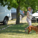 Sok látogatót vonzott a repülőtér családi napja
