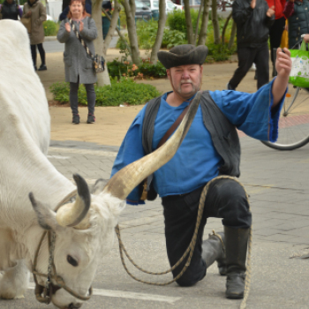 Felvonulással vette kezdetét a pásztortalálkozó