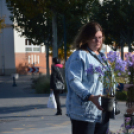 Színes virág kavalkád az őszi virágünnepen