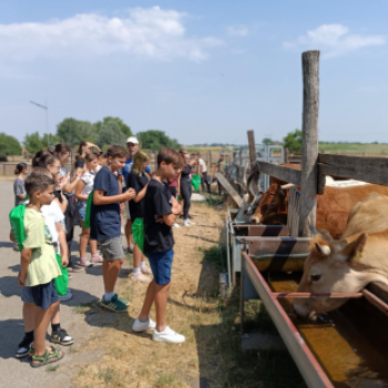 Szakmakóstoló tábor a Mezgében