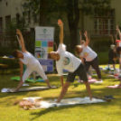 A Jóga Világnapját ünnepelték Kiskunfélegyházán