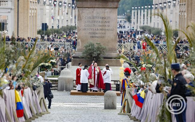 A Szent Péter teret díszítő virágokat egyházi intézmények és idősotthonok kapják meg