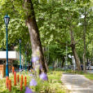 Hivatalosan is átadták a Kossuth utca felújított szakaszát