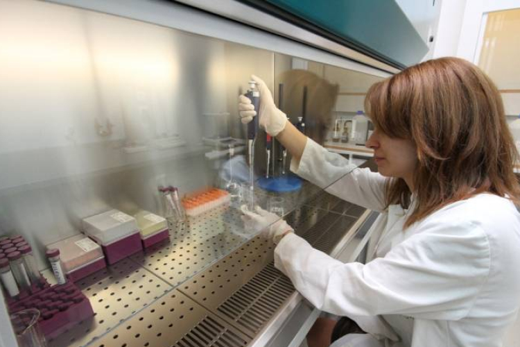 Szegeden készül a szuperbaktériumok elleni csodafegyver