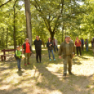 Erdőséta a madarak és fák napján